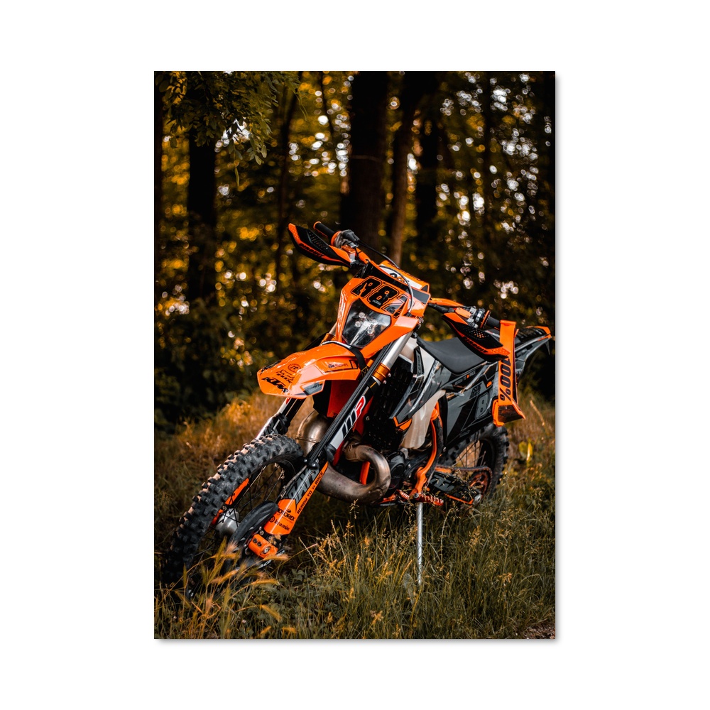 Poster Sentier Sauvage